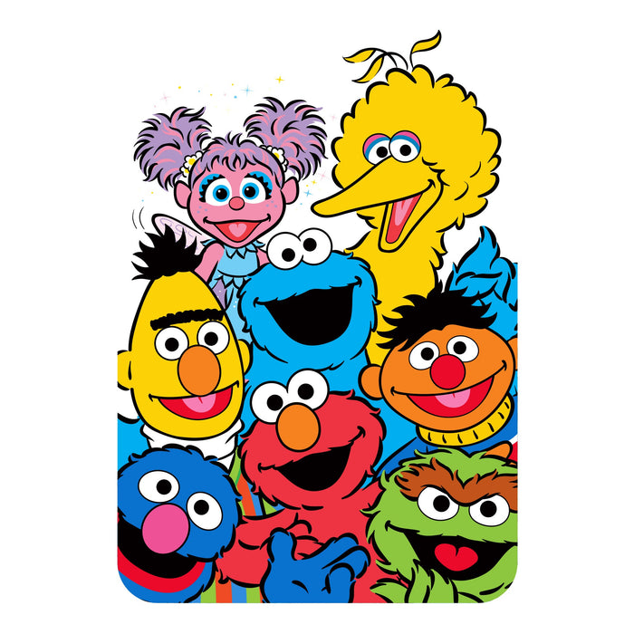 Fathead Group 5 Window Cling - Officially Licensed Sesame Street Removable Window Static Decal