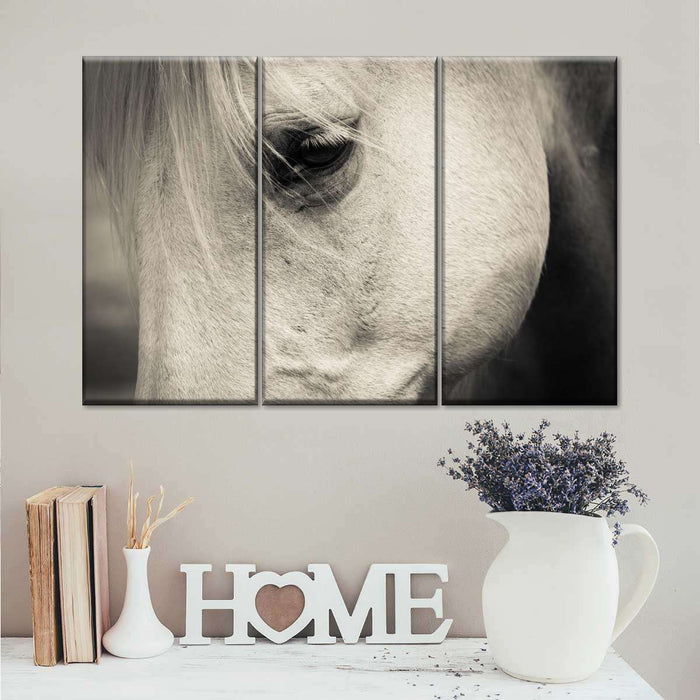 ElephantStock White Horse Eye Wall Art