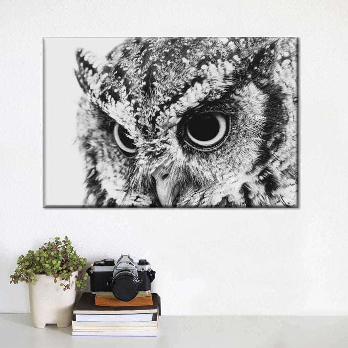 ElephantStock Staring Owl Wall Art