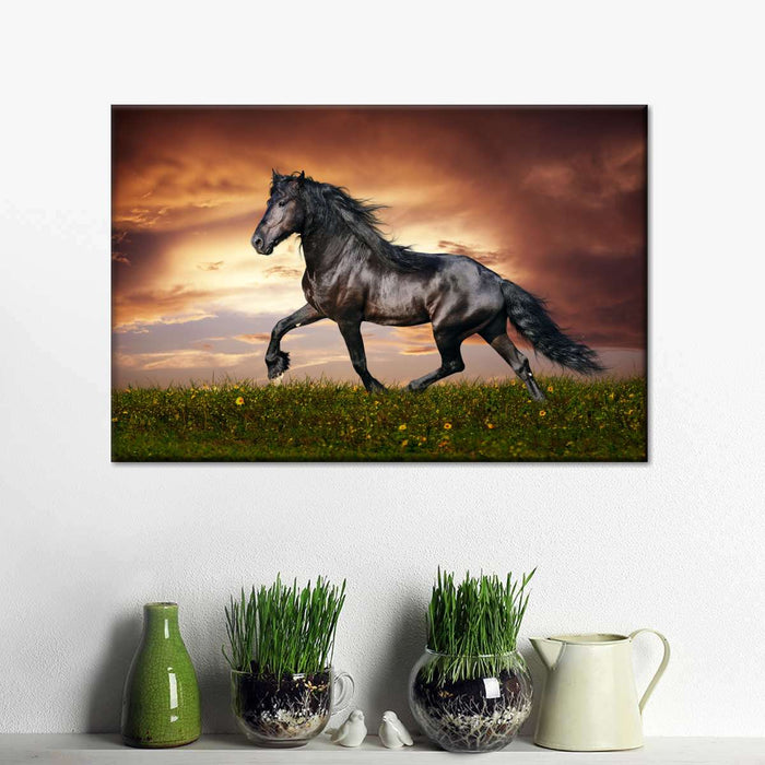 ElephantStock Baroque Horse Wall Art