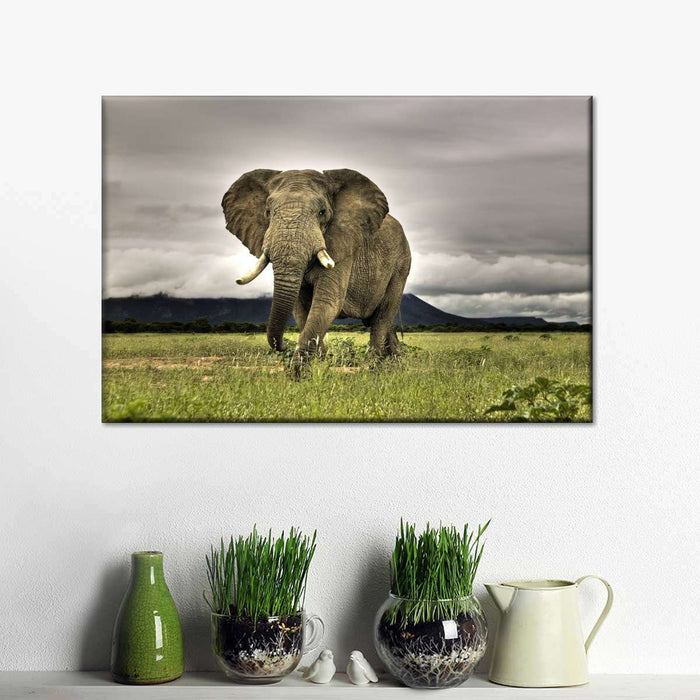 ElephantStock Elephant Landscape Wall Art