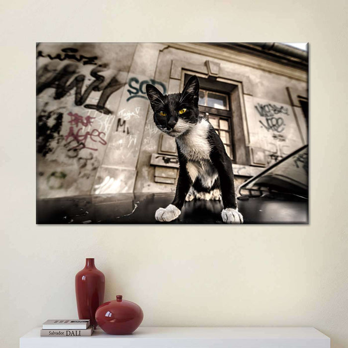 ElephantStock Alley Cat Wall Art