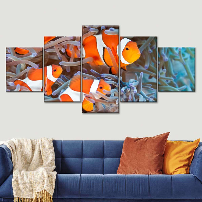 ElephantStock Clown Fish Wall Art