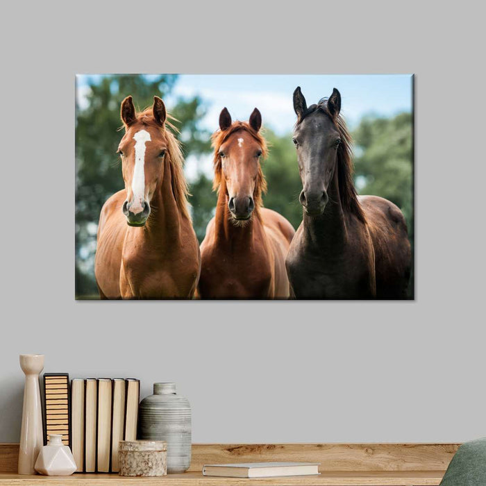 ElephantStock Young Horses Wall Art