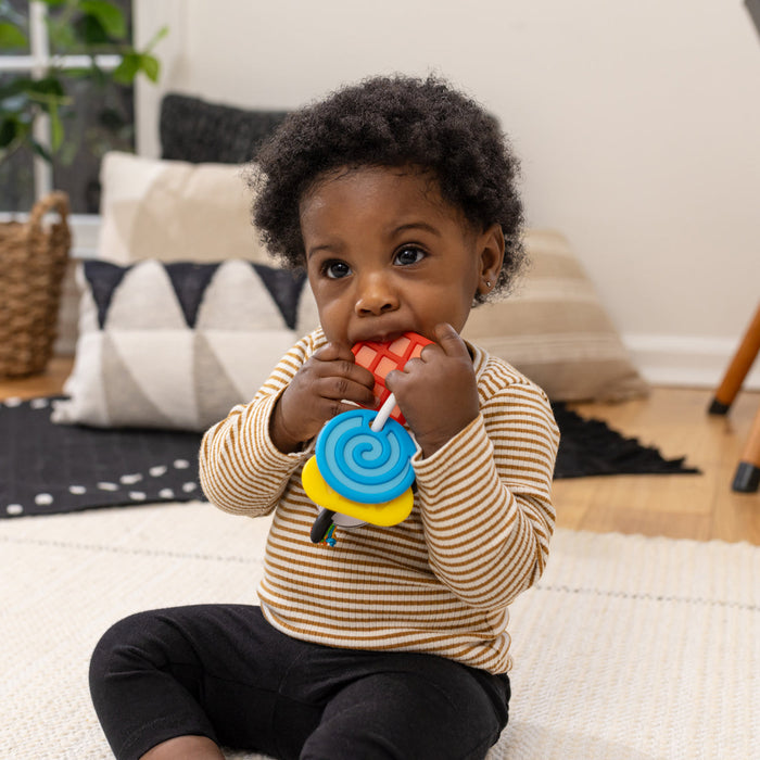 Baby Einstein Shake-A-Shape Zen™ Teether Toy